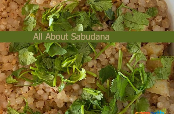 All About Sabudana