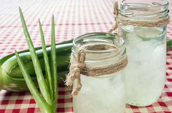10 benefits of Aloe Vera for elderly