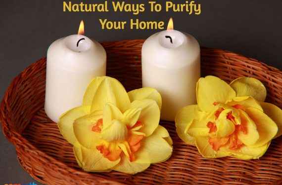 Natural Ways To Purify Your Home
