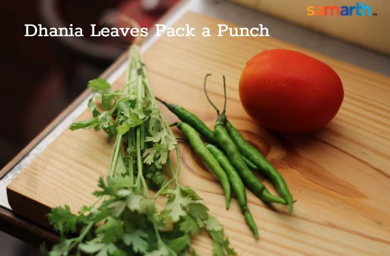 Dhania Patta Packs Quite a Punch