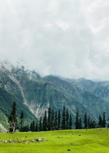 In the Hills